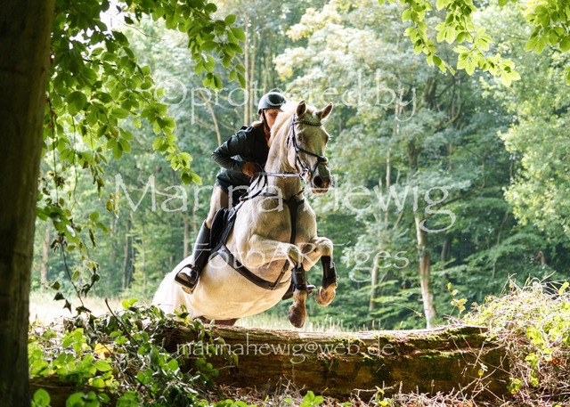 Jagd Knoop 26_MarinaHewigMCH02374 | Fotografie, FotoArt, PferdesportArt, Pferdesportfotografie, Landschaftsfotografie, Reisefotografie, Reise, Pferde - Realisiert mit Pictrs.com