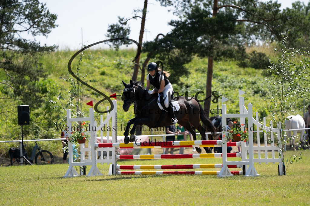 A7V05652 | Pferdefotograf