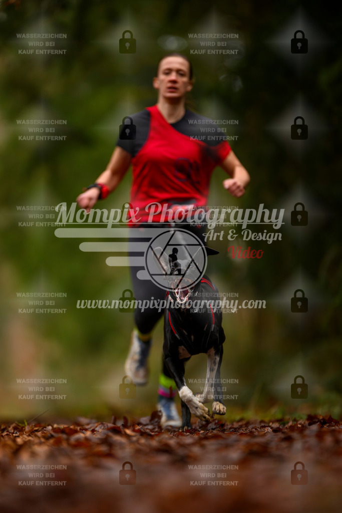MompixPhotography_2SSTSSBW_2025_SO_Canicross-43 | PayLife
