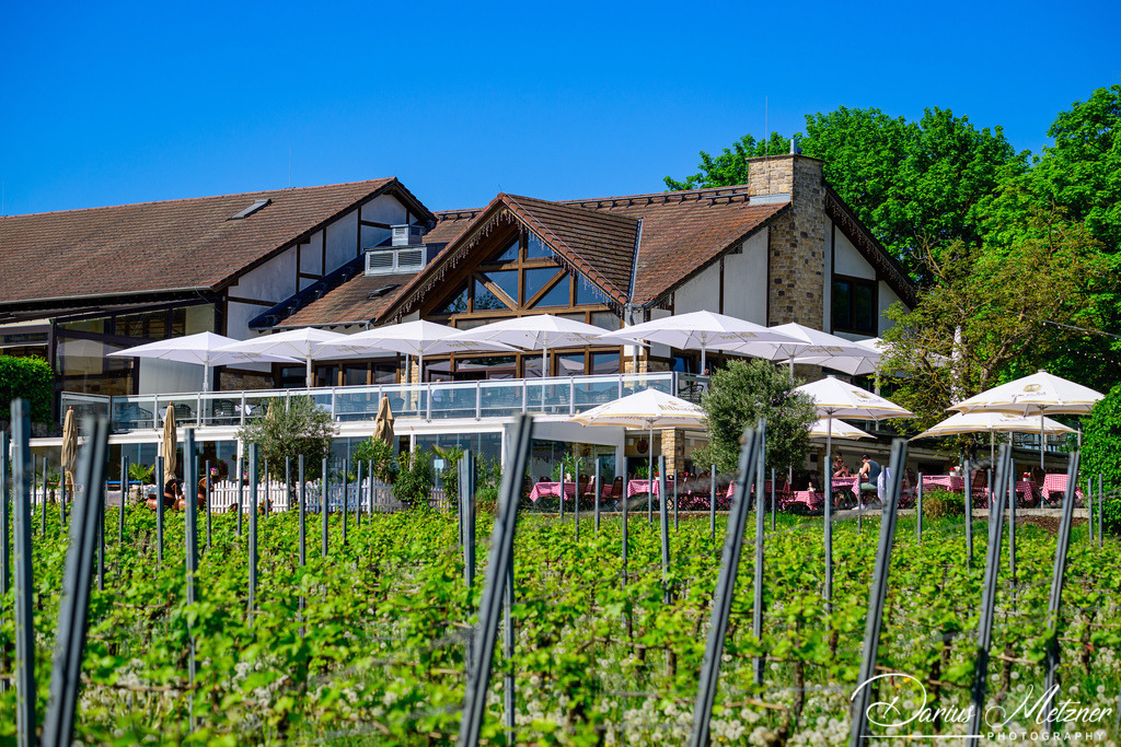 DSC_9657 | Fotografien, Fotos und Bilder aus Mainz, Frankfurt, Wiesbaden und anderen Orten auf der Welt - Fotografiert von Darius Metzner