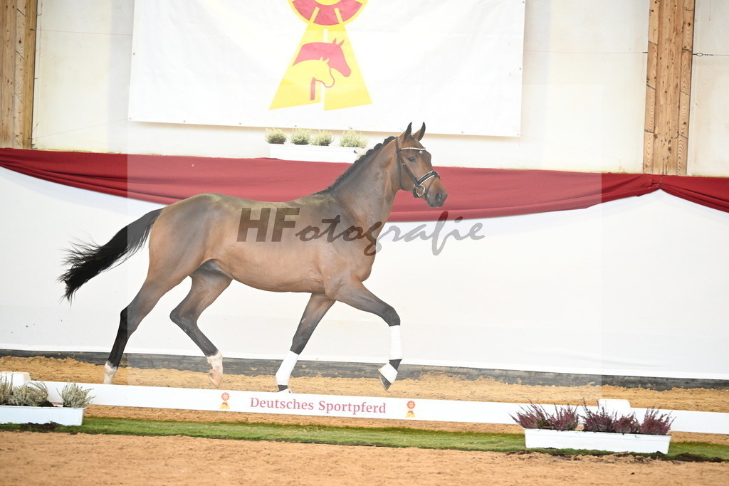 Kat-Nr. 10 Bonds x Scuderia_Torweihen_47241912 | hf-fotografie - Realizzato con Pictrs.com