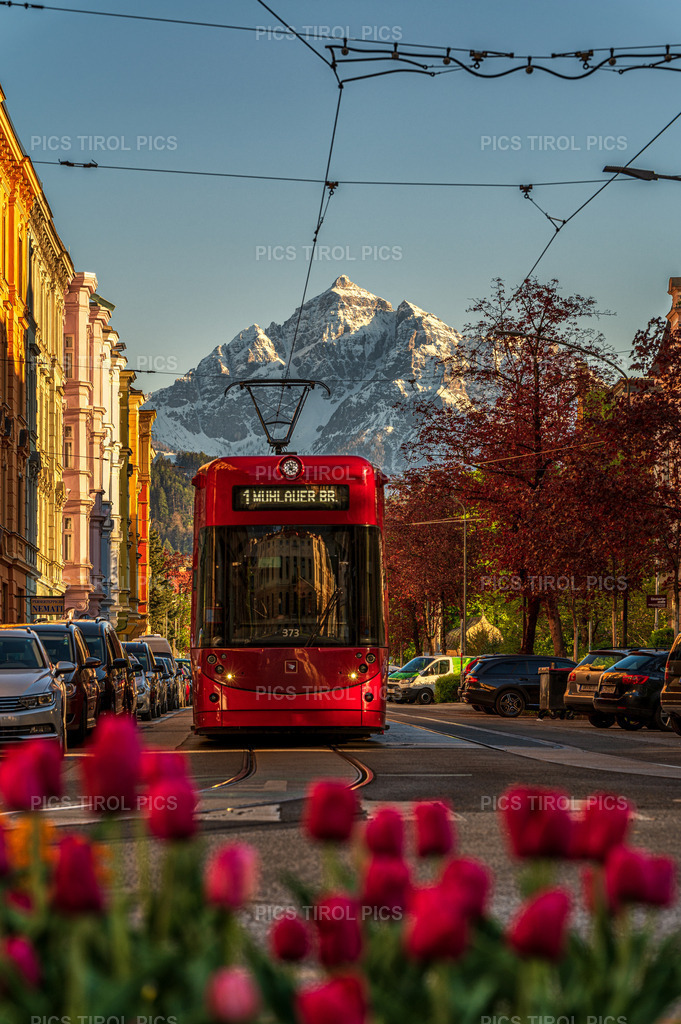 DSC_4427-Bearbeitet | Tirolpics