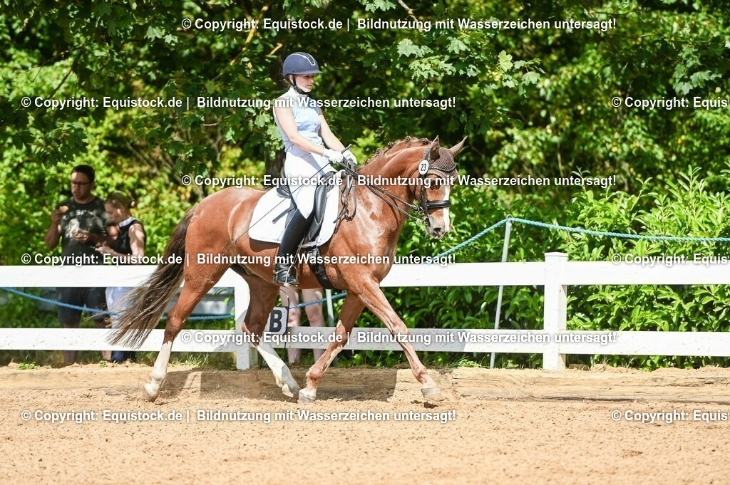 20230716_01_Dressurprüfung Kl.M_0237 | equistock