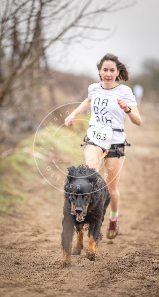 DV3A9620 | Hundefotografie, Tierfotograf, Pfotenfotografie, Fotoshooting Hund, Hunde Portrait, Hundesport, Hundeportraits, Heideshooting, Hunde, Sportfotograf, Hundefotograf, Turnierhundsport, THS,  - Realisiert mit Pictrs.com