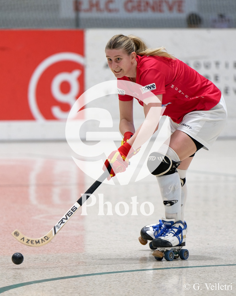 DSC_8091 | Velletri Photo