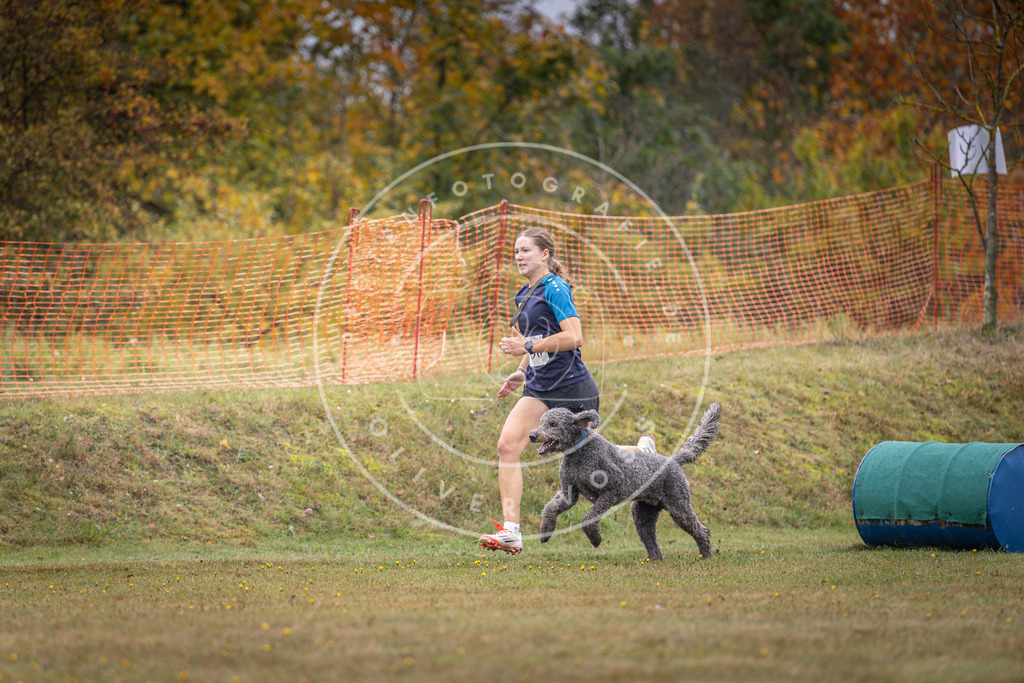 Pfotenfotografie_DV3A1404 | Hundefotografie, Tierfotograf, Pfotenfotografie, Fotoshooting Hund, Hunde Portrait, Hundesport, Hundeportraits, Heideshooting, Hunde, Sportfotograf, Hundefotograf, Turnierhundsport, THS,  - Realisiert mit Pictrs.com