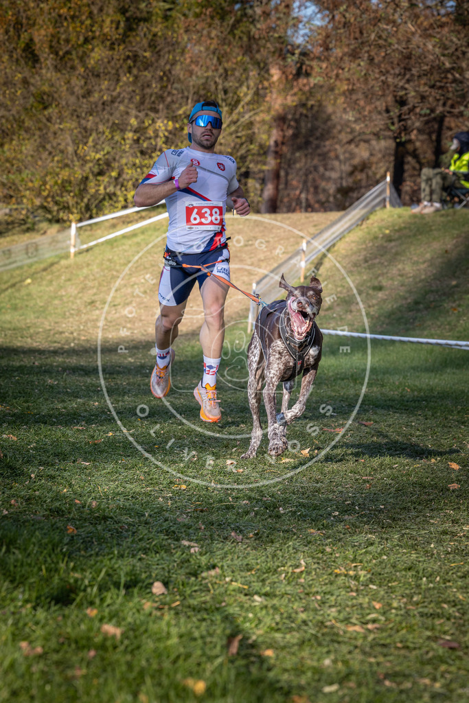 CaniXpix_0L8A8973 | Hundefotografie, Tierfotograf, Pfotenfotografie, Fotoshooting Hund, Hunde Portrait, Hundesport, Hundeportraits, Heideshooting, Hunde, Sportfotograf, Hundefotograf, Turnierhundsport, THS,  - Realisiert mit Pictrs.com