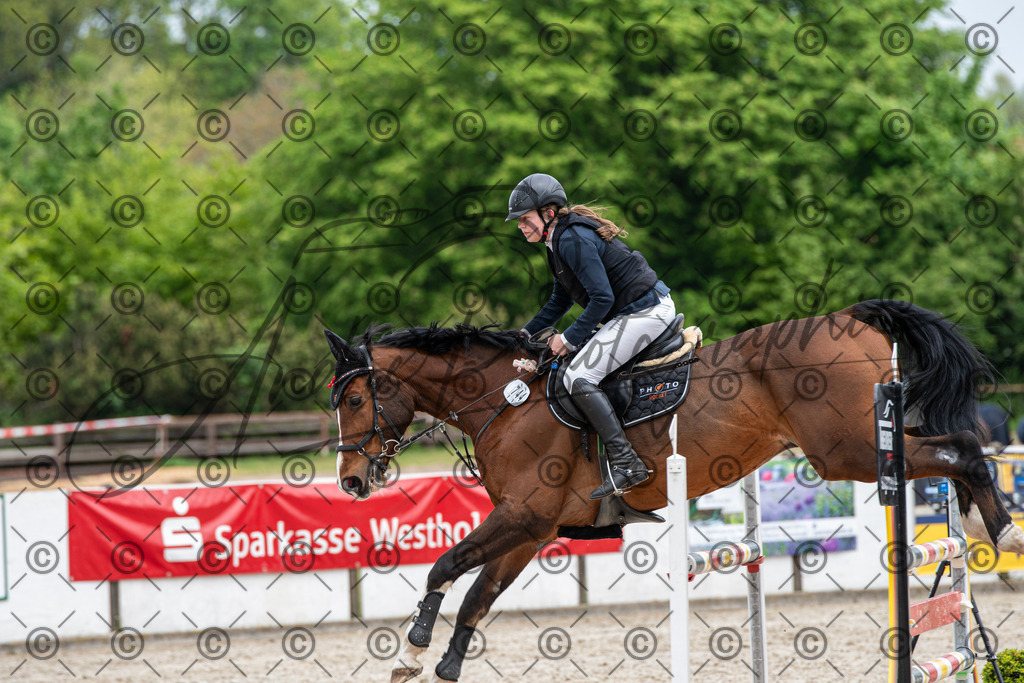 KPT_8821 | andre_photographic