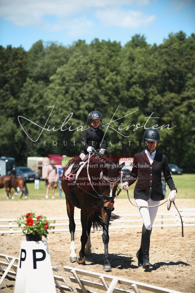 DSC_2037 | Pferde- und Turnierfotografie in Westsachsen. Pferdeportraits, Auftragszeichnungen und intuitive Kunst.