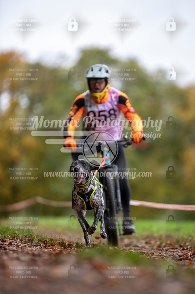 DBT_DAKM_SA_4_11_2023_Bike-78 | PayLife