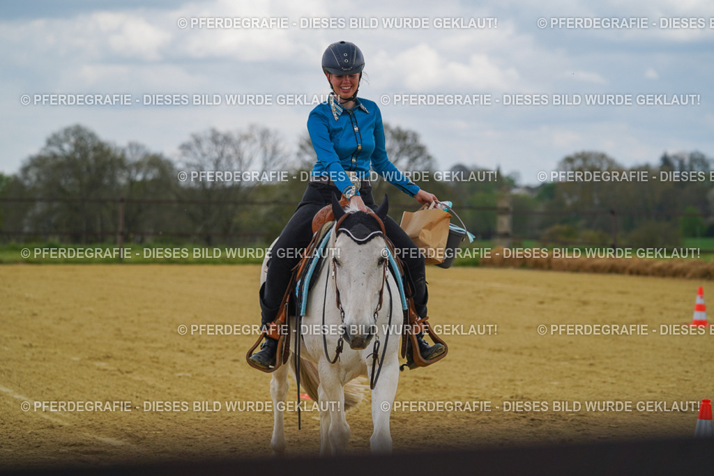 DSC05825 | Pferdegrafie