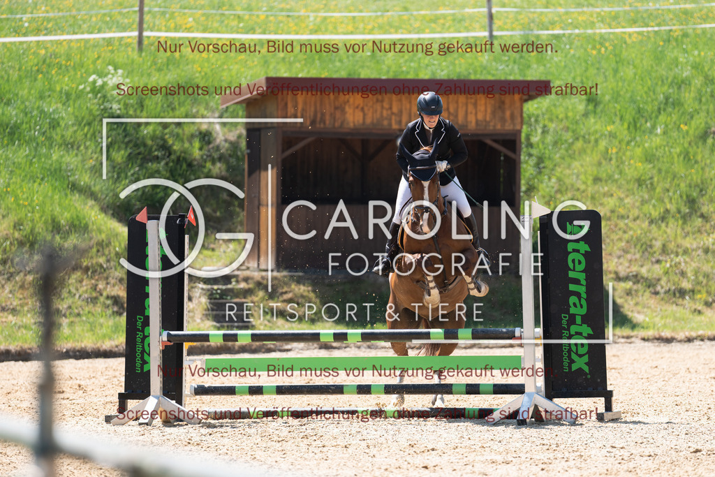 DSC04463 | Springturnier_Ehingen_Mai_2026, Sabrina_Börner, Caru_2
