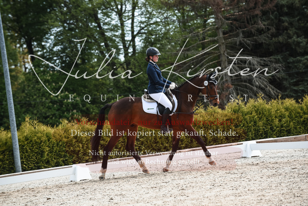 20230518_JK-Röhrsdorf-11-0919 | Pferde- und Turnierfotografie in Westsachsen. Pferdeportraits, Auftragszeichnungen und intuitive Kunst.