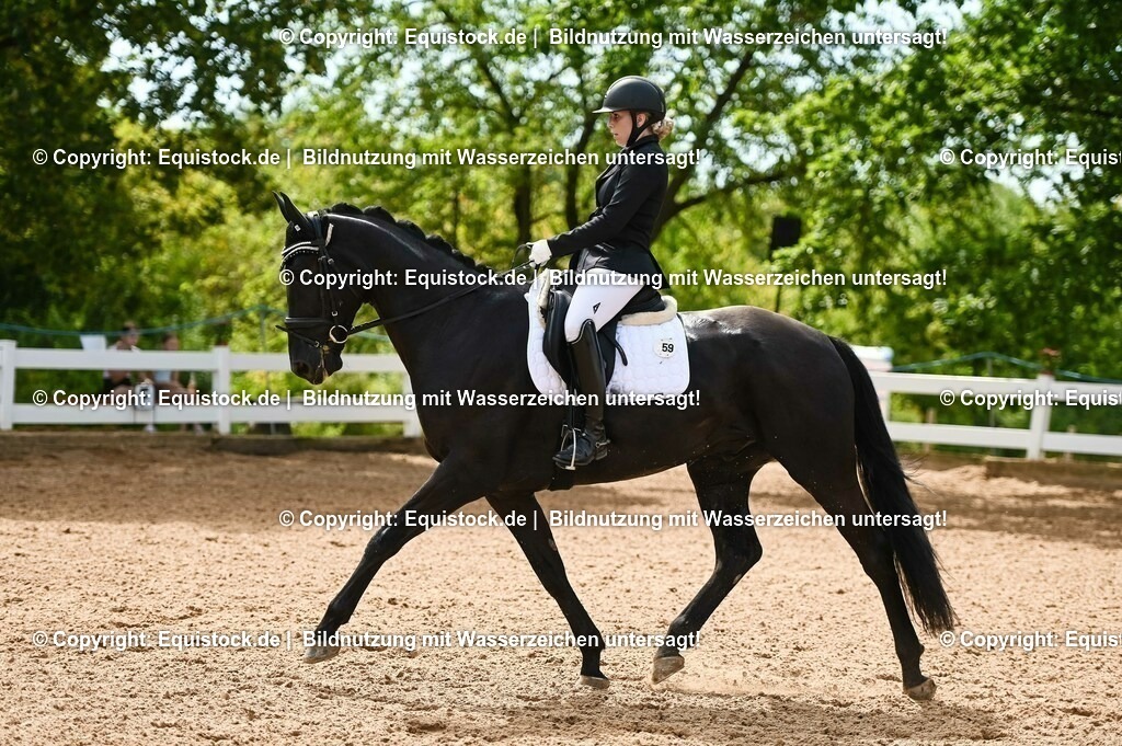 20230715_07_Dressurpferdeprfg. Kl.L_0154 | equistock