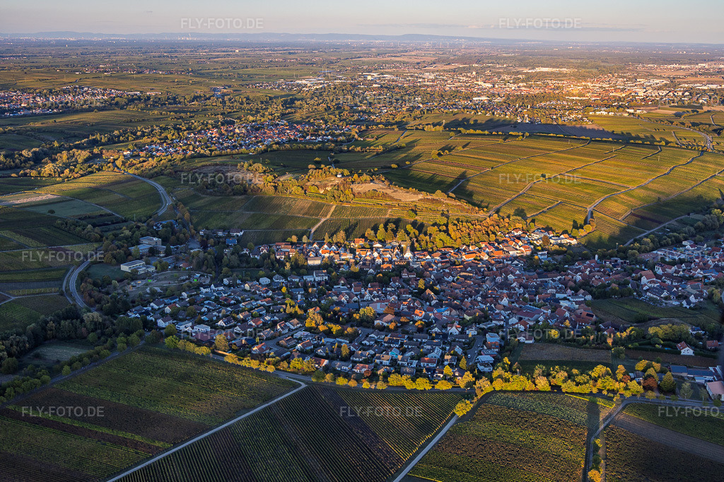 Luftbild: Winzerortsansicht von Westen am Abend zwischen Weinbergen an der kleinen Kalmit in Ilbesheim bei Landau im Bundesland Rheinland-Pfalz in Deutschland. – Foto: IMG_159850.jpg vom 12.10.2026 durch Werner Riehm/FLY-FOTO.de – Auflösung des Originals: 5827 x 3885 px