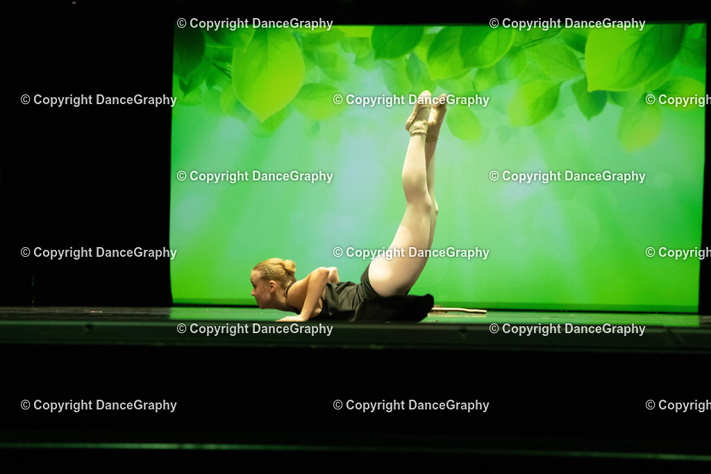 GPHY6834 | DanceGraphy - Realisiert mit Pictrs.com