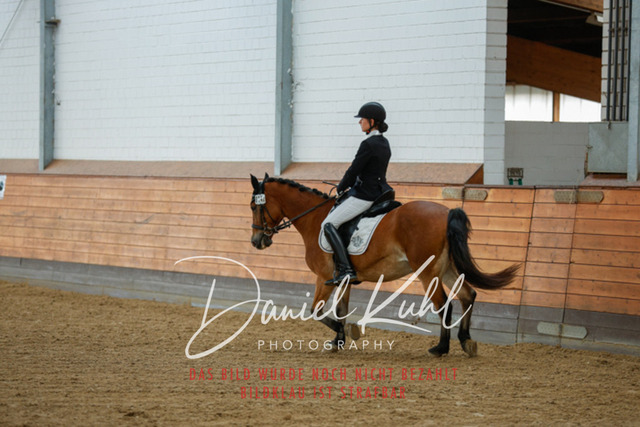 _62_6585 | Turniersportfotografie; Pferdefotografie; Dressurfotografie