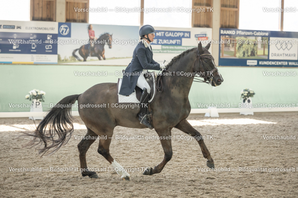 _D5A1857 | Emotionale Pferde- & People-Fotografie rund um Heidelberg, Leimen & Umgebung. Natürliche Fotos von Pferd, Mensch & Familie. Jetzt Termin sichern!