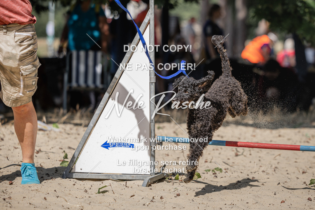 nelerasche_saBeachility_535 | nelerasche