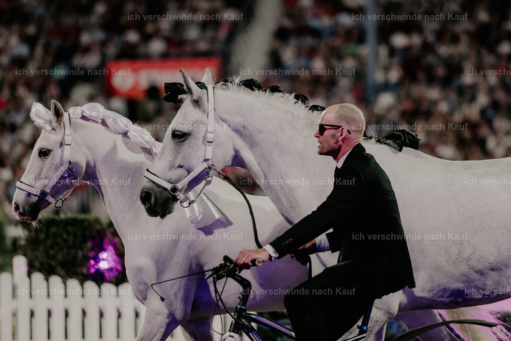 TSCHIO26_Pferd-Sinfonie_StoibphotographyTSCHIO26_Pferd-Sinfonie_Stoibphotography_AM11730.CR3.jpg | working equitationturnier fotograf videograf stoibphotography marixx film working equitation deutschland reitsport turnierfotografie eventfotografie equestrian events