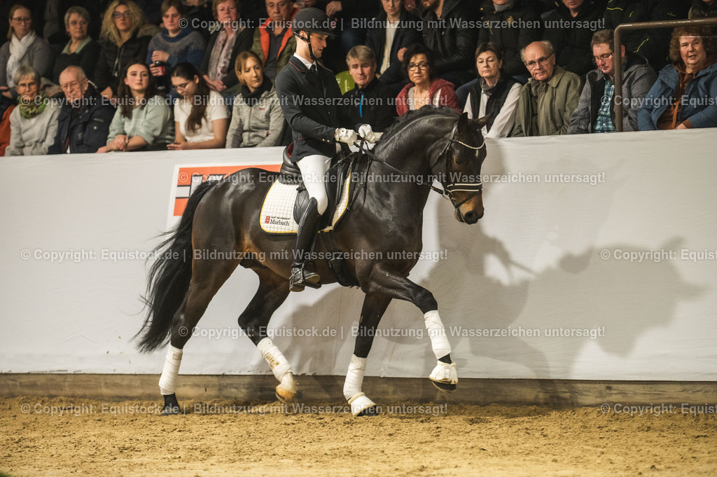 20240302_Hengstvorstellung_Marbach_TOMsPiC_0389-2 | equistock