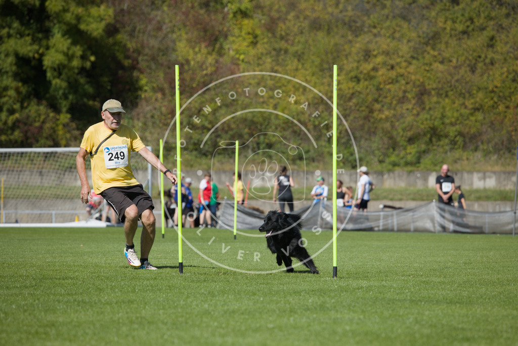 0L8A6281 | Hundefotografie, Tierfotograf, Pfotenfotografie, Fotoshooting Hund, Hunde Portrait, Hundesport, Hundeportraits, Heideshooting, Hunde, Sportfotograf, Hundefotograf, Turnierhundsport, THS,  - Realisiert mit Pictrs.com