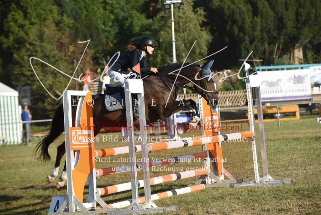 DSC_4941 | Pferde- und Turnierfotografie in Westsachsen. Pferdeportraits, Auftragszeichnungen und intuitive Kunst.