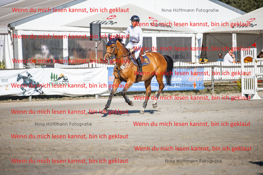 BK1A8587 | Turnierbilder Turnierfotos Nina Hüffmann Turnierfotografie Pferdefotografie Tierzeichnung Haustierzeichnung Pferdezeichnung Hundezeichnung Videograf  - Realisiert mit Pictrs.com