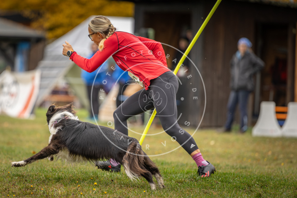 Pfotenfotografie_DV3A1638 | Hundefotografie, Tierfotograf, Pfotenfotografie, Fotoshooting Hund, Hunde Portrait, Hundesport, Hundeportraits, Heideshooting, Hunde, Sportfotograf, Hundefotograf, Turnierhundsport, THS,  - Realisiert mit Pictrs.com