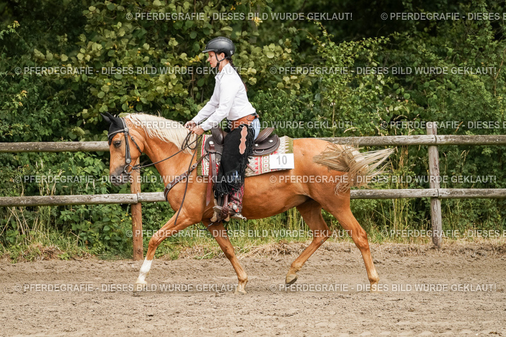 DSC00226 | Pferdegrafie