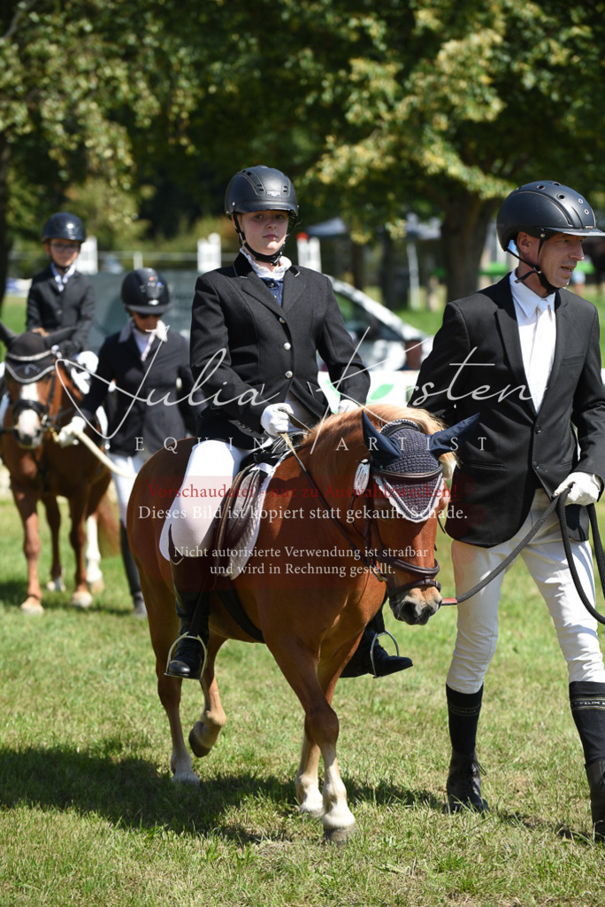 DSC_9683 | Pferde- und Turnierfotografie in Westsachsen. Pferdeportraits, Auftragszeichnungen und intuitive Kunst.