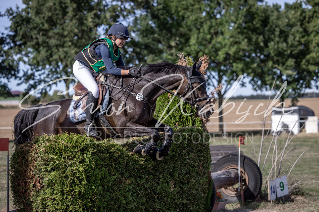 20260906-_3LI6333 | Tierfotografie Pferde, Hunde, Katzen, Haustiere.
Turnierfotografie Reitturniere, Reiten, Springreiten, Dressur in Hanau, dem Main-Kinzig-Kreis und dem Rhein-Main- Gebiet um Frankfurt