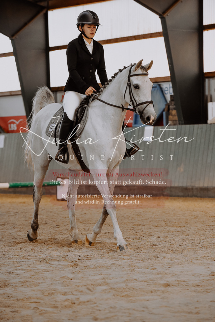 DSC_7420 | Pferde- und Turnierfotografie in Westsachsen. Pferdeportraits, Auftragszeichnungen und intuitive Kunst.