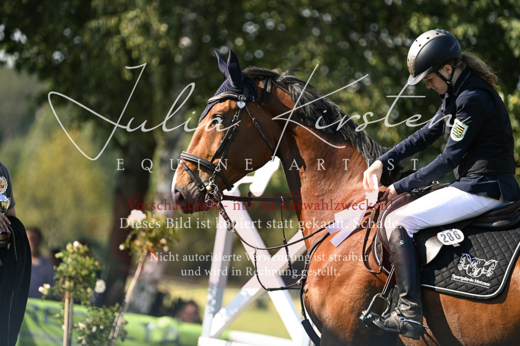 DSC_1532 | Pferde- und Turnierfotografie in Westsachsen. Pferdeportraits, Auftragszeichnungen und intuitive Kunst.