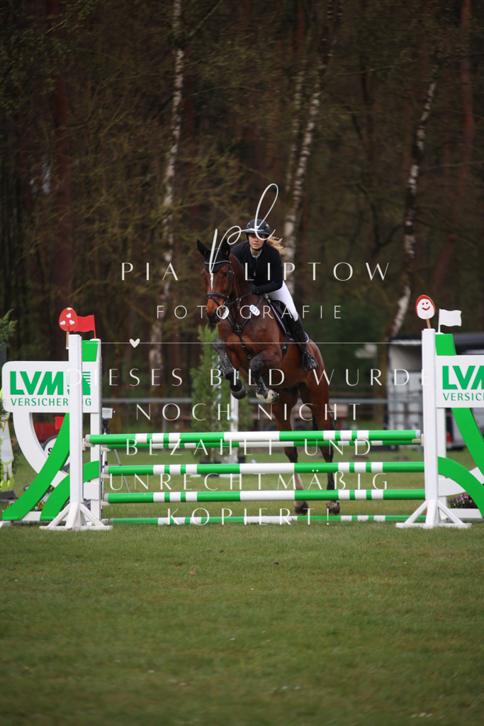 IMGT2322 | pl-fotografie