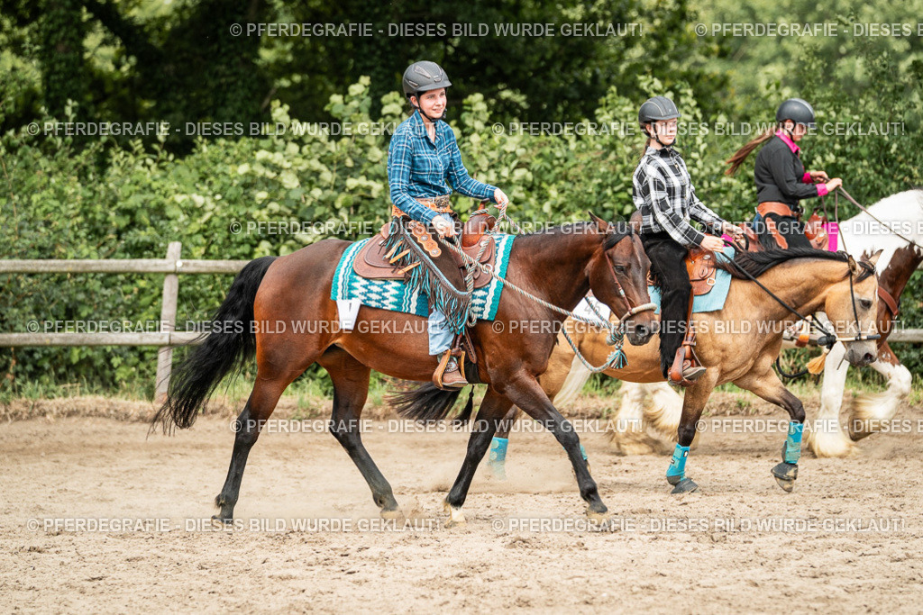 DSC03947 | Pferdegrafie