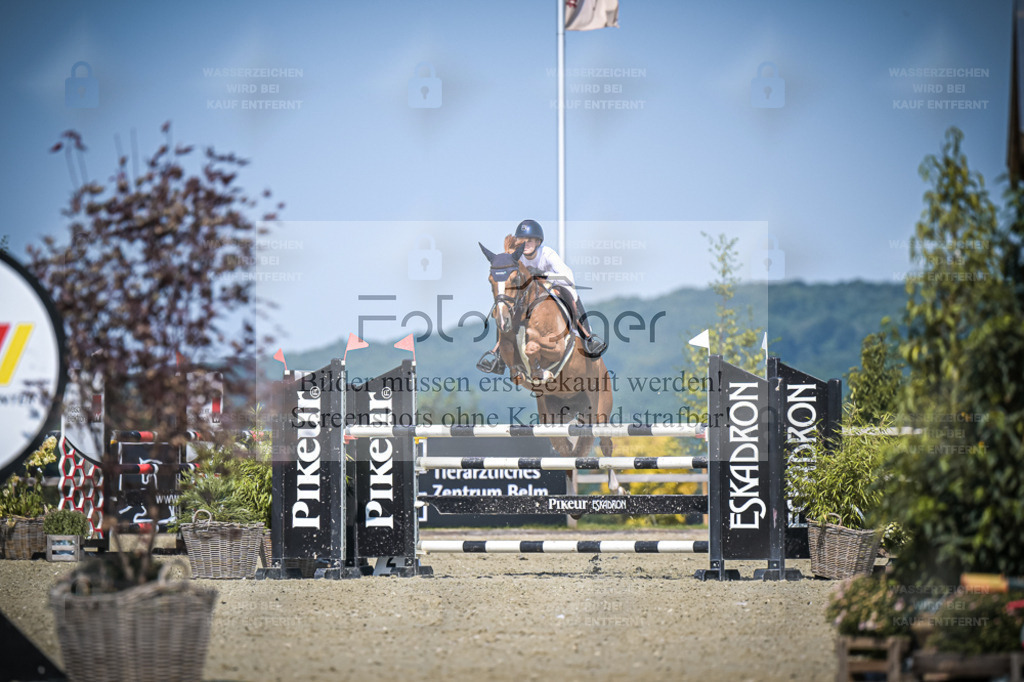 DOS_1866 | Entdecke hochwertige Reitturnierfotos von Foto Oger. Professionell, emotional und authentisch – jetzt Lieblingsmomente im Shop bestellen. - Realisiert mit Pictrs.com