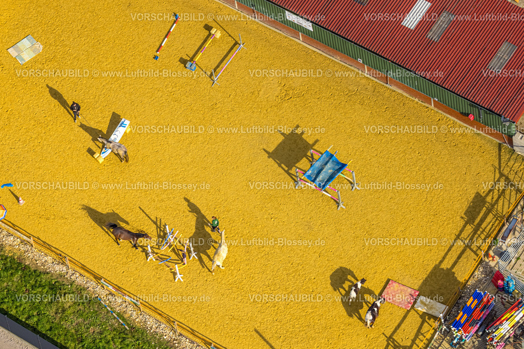 Rees251004922 | Luftbild, Pferdetraining Reitanlage Ulmenweg, Formen und Farben, Esserden, Rees, Niederrhein, Nordrhein-Westfalen, Deutschland