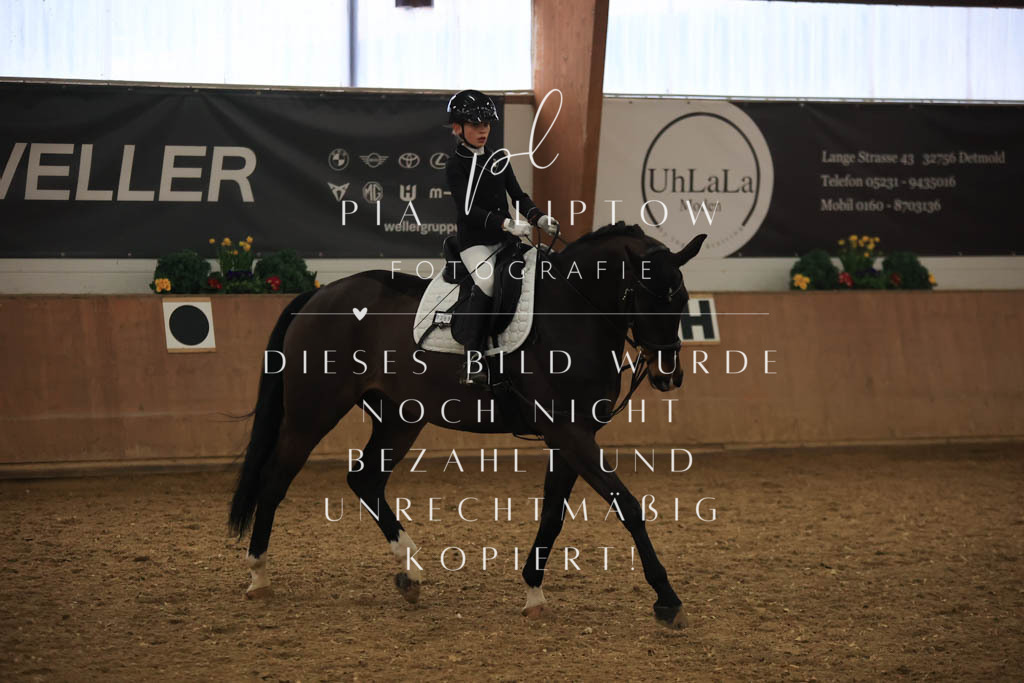 IMGT0896 | pl-fotografie