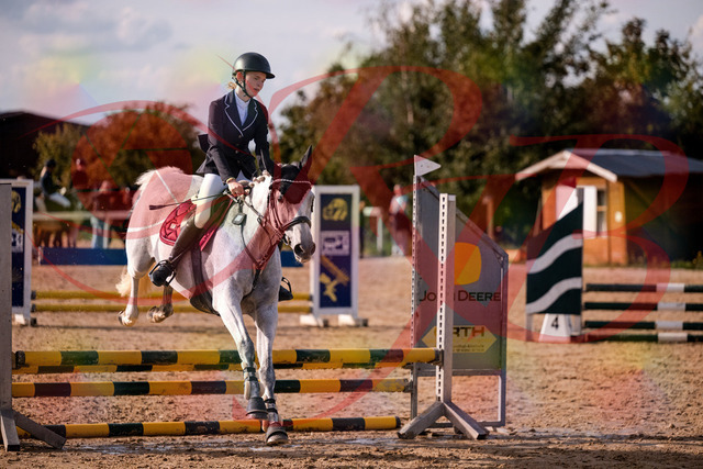 2026_10_03_Siefer-Hof_155117_Z81_69981064 | Professionelle Reitsport-, Turnier- und Eventfotografie von Robert Broda. Galerien mit ausgewählten und bearbeiteten Bildern direkt online ansehen und bestellen.