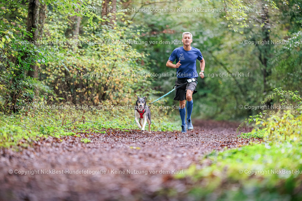 THS-HSV-Blumenthal-2026-Nickbest-Hundefotografie-0605 | Dein Hund! Dein Moment! Deine Erinnerungen! Hundefotografie in Bremen Blumenthal. Ich fange die besonderen Momente deines Vierbeiners ein – ob Indoor mit Blitzanlage oder in der freien Natur. Sicher dir dein Moment und dein Termin für eure Erinnerungen.