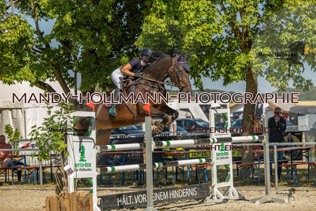 26-7-24 SPF M+-386 | mandyhollmannphotographie