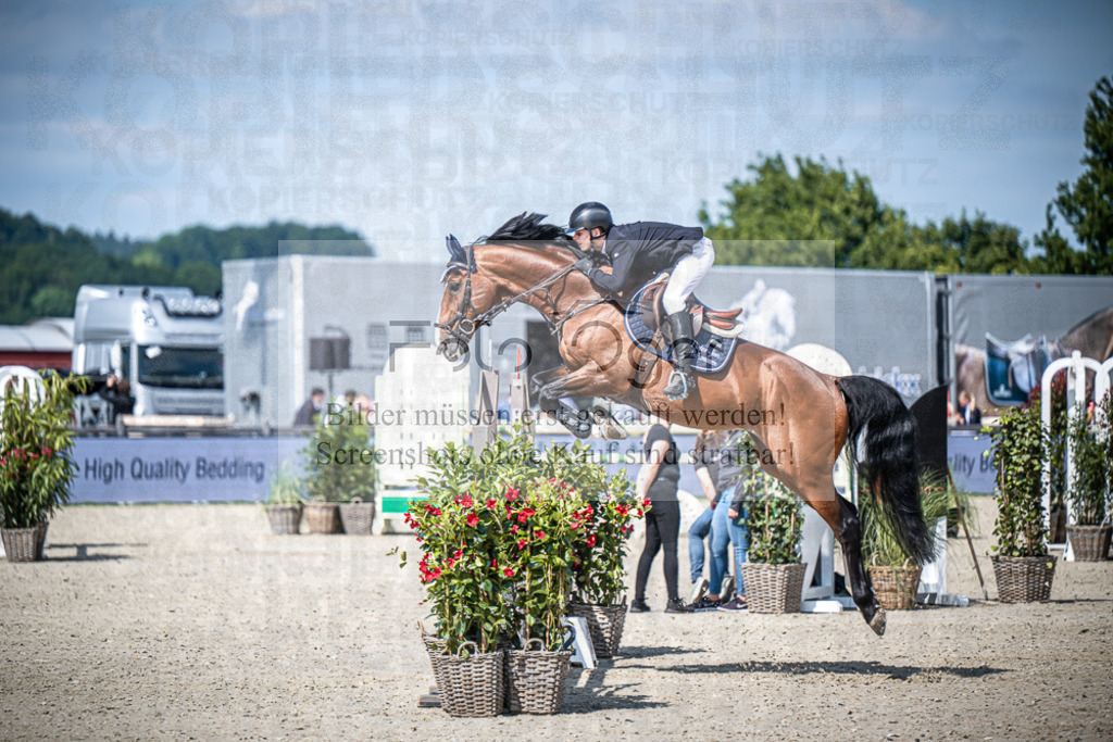 DOS_2601 | Entdecke hochwertige Reitturnierfotos von Foto Oger. Professionell, emotional und authentisch – jetzt Lieblingsmomente im Shop bestellen.Deutschlandweite Turnierfotografie. - Realisiert mit Pictrs.com