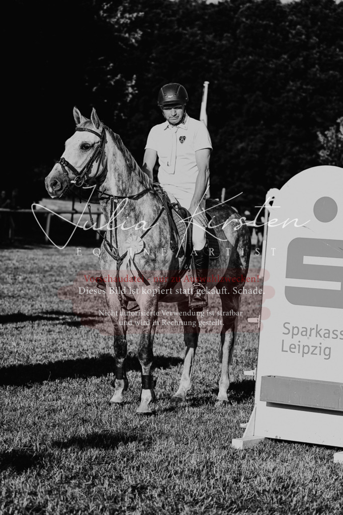 DSC_3184 | Pferde- und Turnierfotografie in Westsachsen. Pferdeportraits, Auftragszeichnungen und intuitive Kunst.