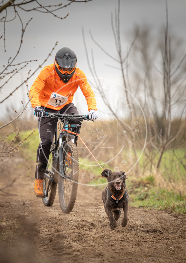 DV3A0802 | Hundefotografie, Tierfotograf, Pfotenfotografie, Fotoshooting Hund, Hunde Portrait, Hundesport, Hundeportraits, Heideshooting, Hunde, Sportfotograf, Hundefotograf, Turnierhundsport, THS,  - Realisiert mit Pictrs.com