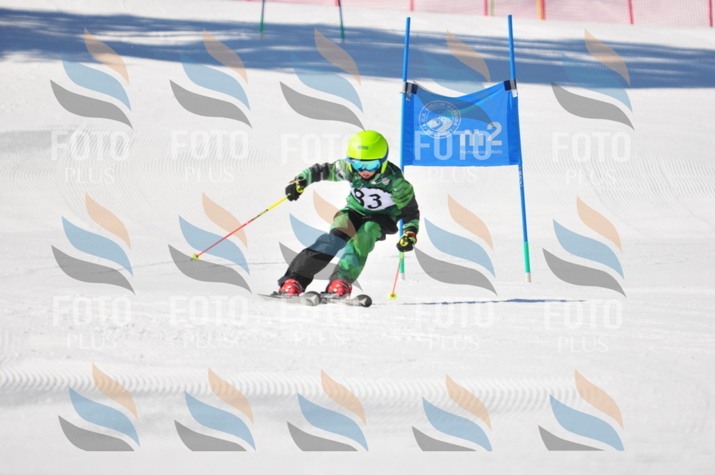 C3114 | holidayphoto