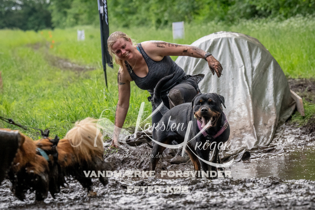 1511_ZZ92271-Bearbeitet | kk-dogfotos