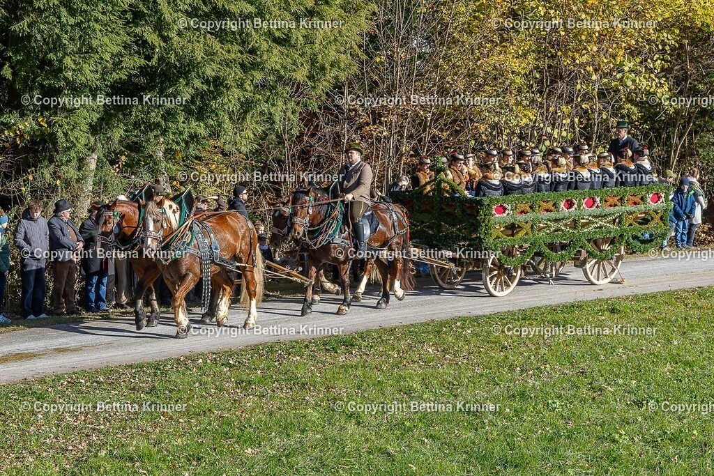 LBT25-689 | foto-bettina-krinner - Realisiert mit Pictrs.com