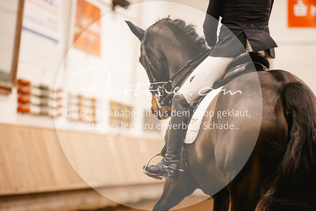 3I6A7061 | Stimmungsvolle Portraits und Reitsportfotografie im Ruhrgebiet und im Münsterland.

Pferdefotografie, Hundefotografie, Tierfotografie, Reportagen, Portraits von Tier und Mensch, Turnierfotografie in Bochum, Recklinghausen, Marl, Haltern am See, Dülmen.. - Realisiert mit Pictrs.com