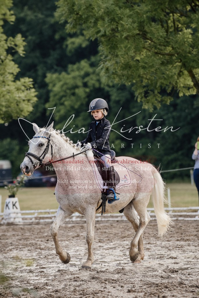 DSC_8331 | Pferde- und Turnierfotografie in Westsachsen. Pferdeportraits, Auftragszeichnungen und intuitive Kunst.